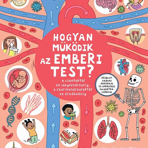 HOGYAN MŰKÖDIK AZ EMBERI TEST?