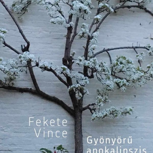 GYÖNYÖRŰ APOKALIPSZIS