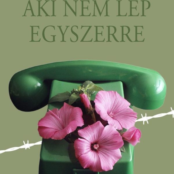 AKI NEM LÉP EGYSZERRE