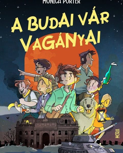 A BUDAI VÁR VAGÁNYAI