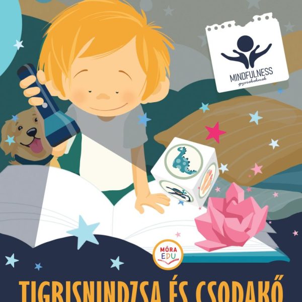 TIGRISNINDZSA ÉS CSODAKŐ - MESÉK ÉS FOGLALKOZTATÓ