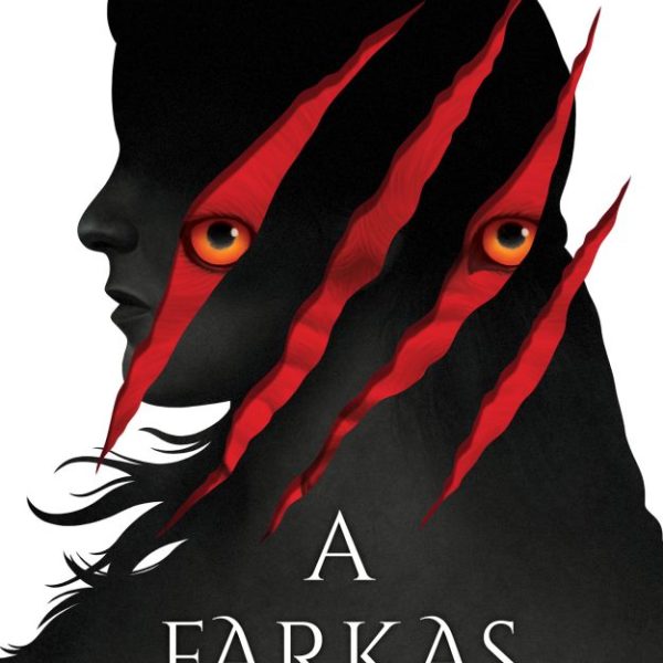 A FARKAS ÉJSZAKÁJÁN