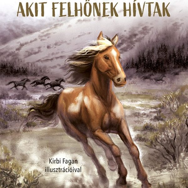 A VADLÓ, AKIT FELHŐNEK HÍVTAK