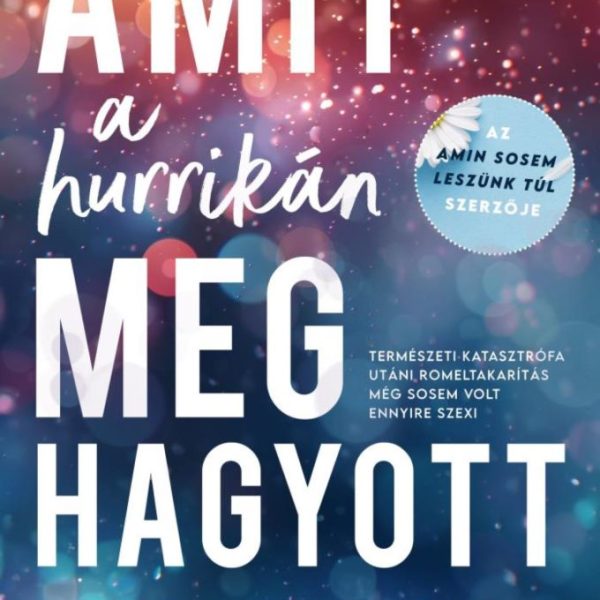 AMIT A HURRIKÁN MEGHAGYOTT