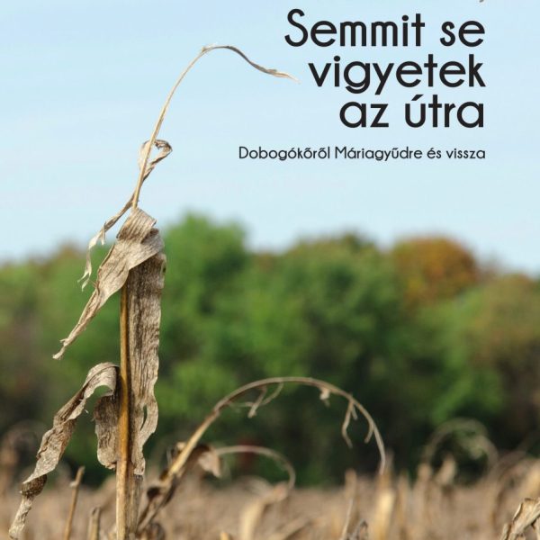 SEMMIT SE VIGYETEK AZ ÚTRA - DOBOGÓKŐRŐL MÁRIAGYŰDRE ÉS VISSZA