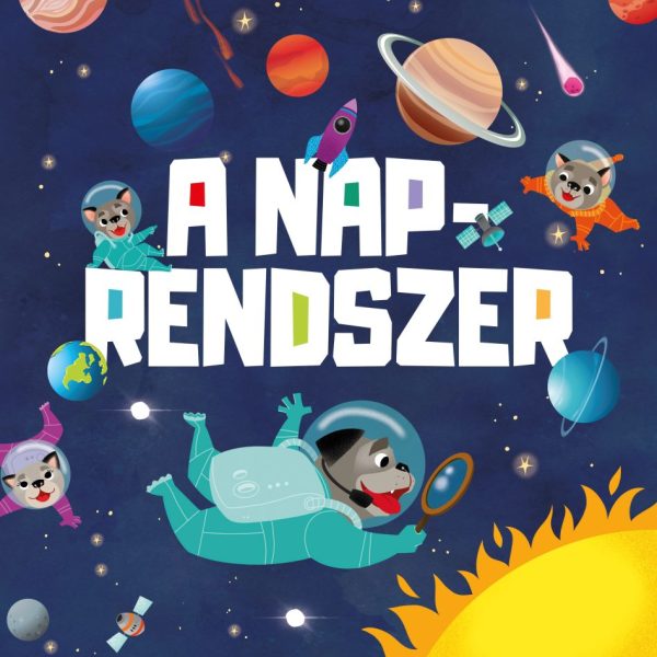 A NAPRENDSZER