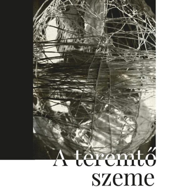 A TEREMTŐ SZEME