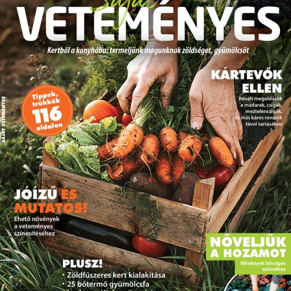SAJÁT VETEMÉNYES - TREND BOOKAZINE 2025/1.