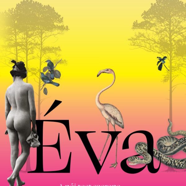 ÉVA - A NŐI TEST SZEREPE AZ EMBER EVOLÚCIÓJÁBAN