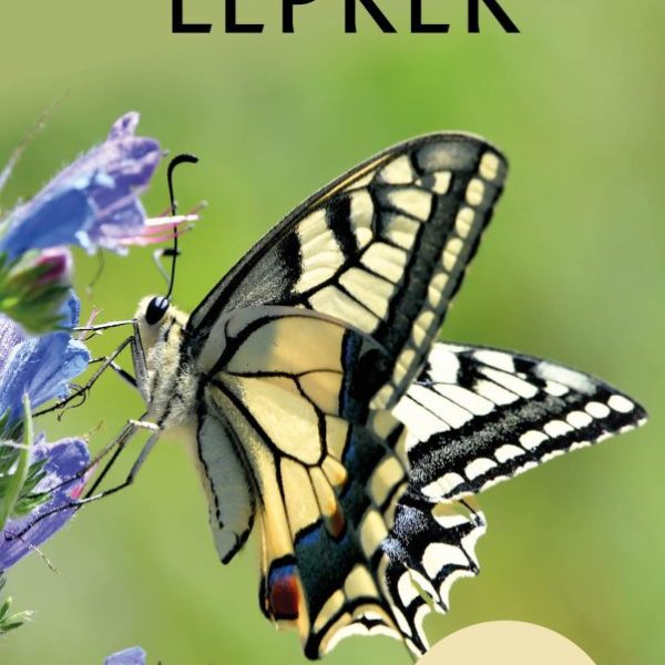 LEPKÉK - FIGYELJ MEG MINNÉL TÖBB FAJT!