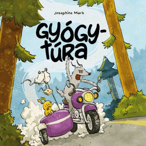 GYÓGYTÚRA