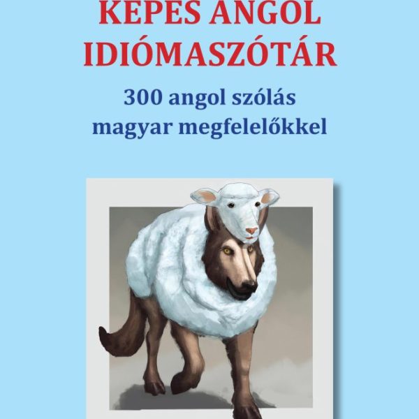 KÉPES ANGOL IDIÓMASZÓTÁR - 300 ANGOL SZÓLÁS MAGYAR MEGFELELŐKKEL