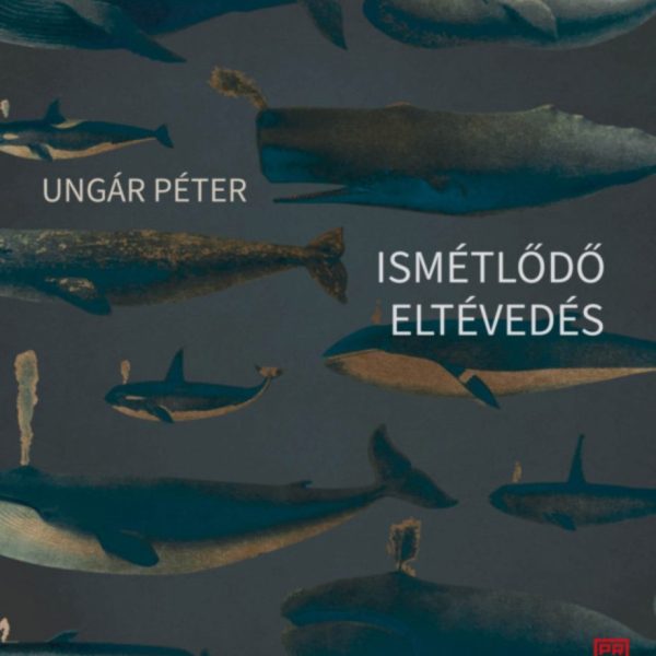 ISMÉTLŐDŐ ELTÉVEDÉS