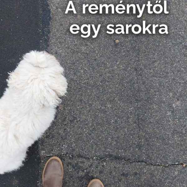 A REMÉNYTŐL EGY SAROKRA