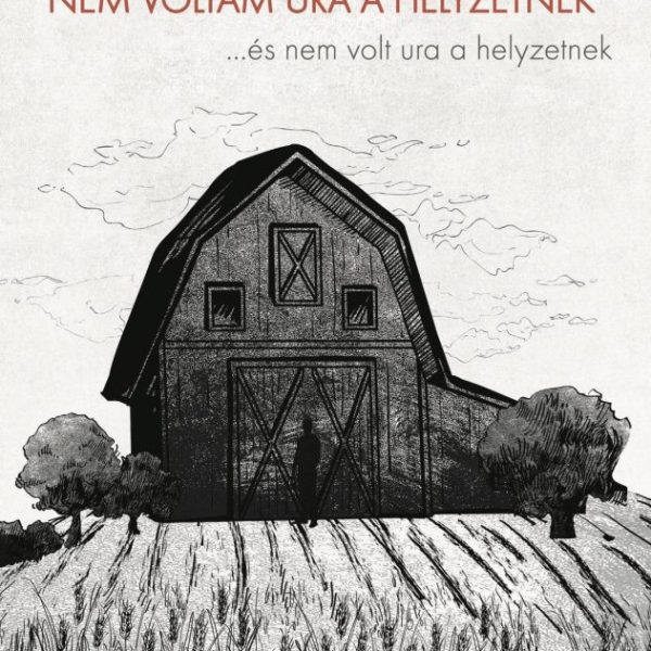 NEM VOLTAM URA A HELYZETNEK