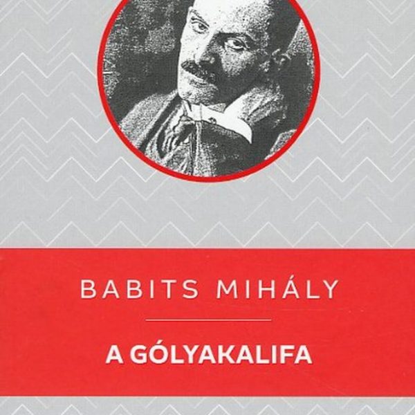 A GÓLYAKALIFA - KELLO DIÁKKÖNYVTÁR