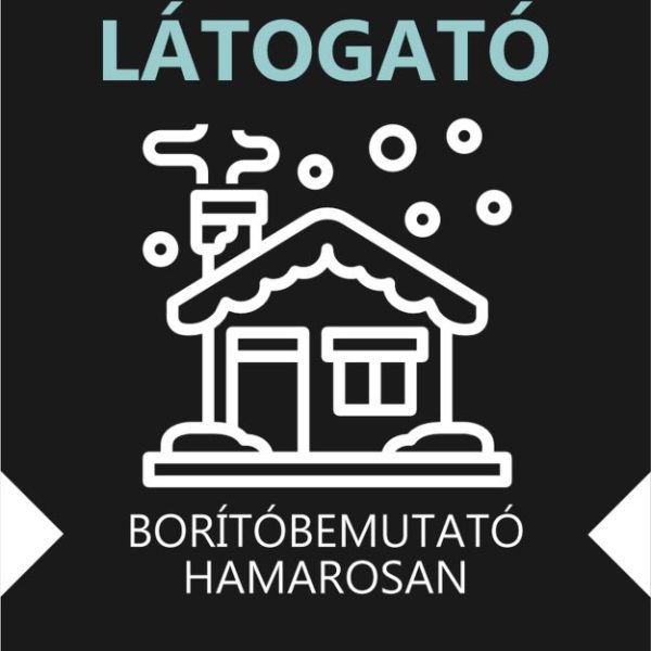AZ ÉJJELI LÁTOGATÓ