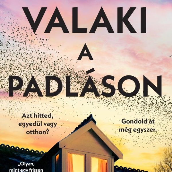 VALAKI A PADLÁSON