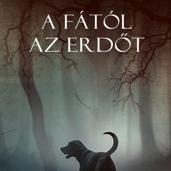 A FÁTÓL AZ ERDŐT