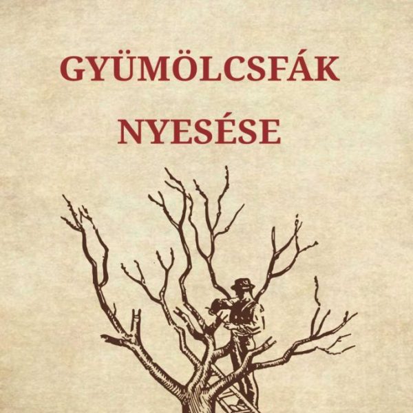 GYÜMÖLCSFÁK NYESÉSE