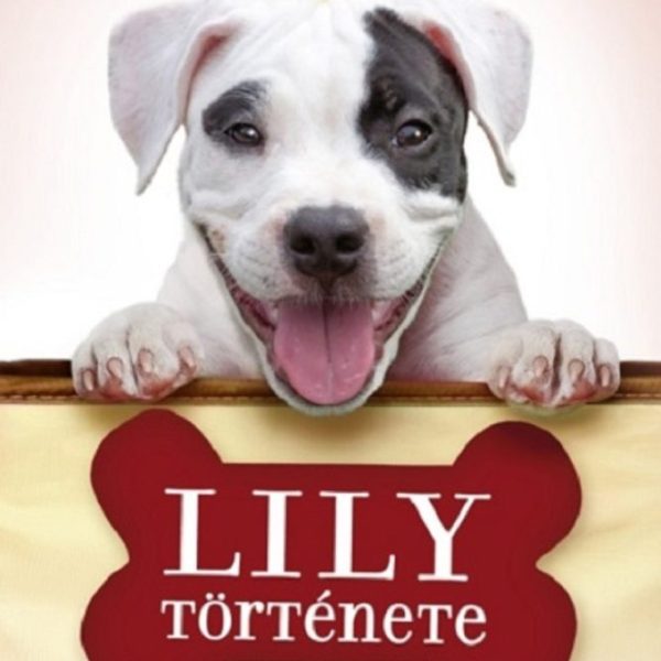 LILY TÖRTÉNETE - KÖLYÖKMESE