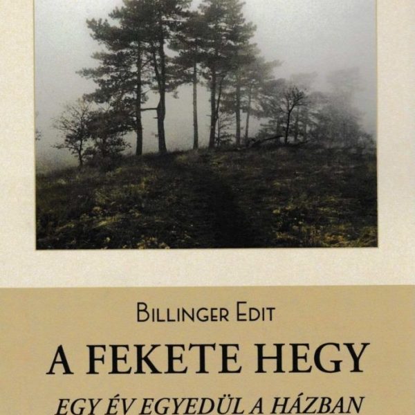 A FEKETE HEGY - EGY ÉV EGYEDÜL A HÁZBAN