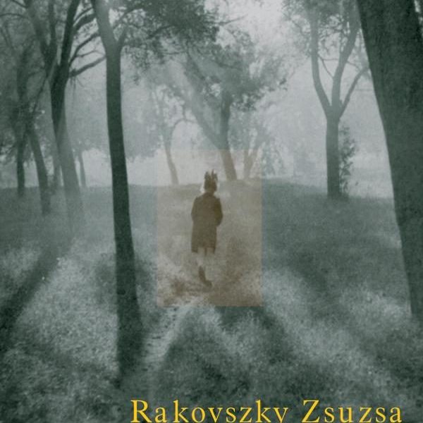 A HULLÓCSILLAG ÉVE