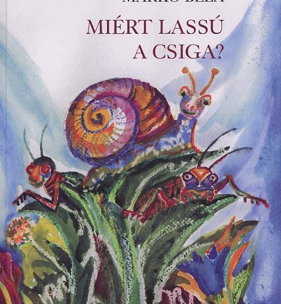 MIÉRT LASSÚ A CSIGA?