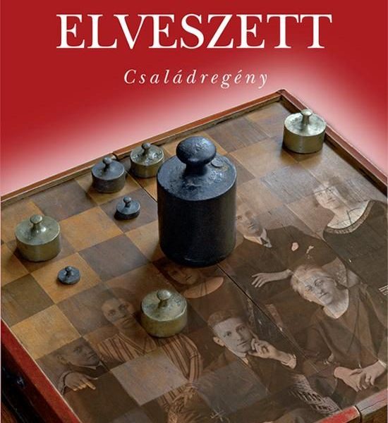 AMI ELVESZETT - CSALÁDREGÉNY -