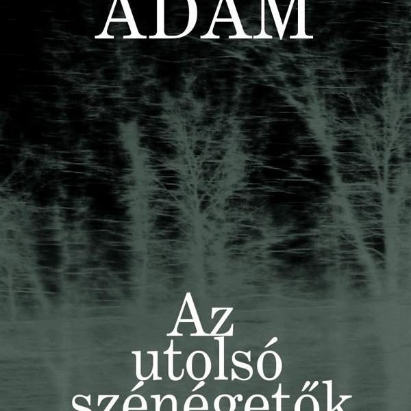 AZ UTOLSÓ SZÉNÉGETŐK