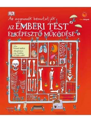 AZ EMBERI TEST ELKÉPESZTŐ MŰKÖDÉSE