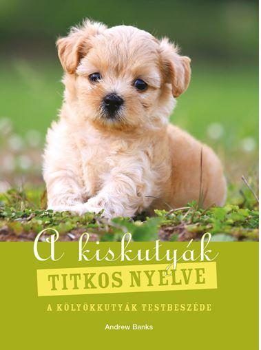 A KISKUTYÁK TITKOS NYELVE - A KÖLYÖKKUTYÁK TESTBESZÉDE
