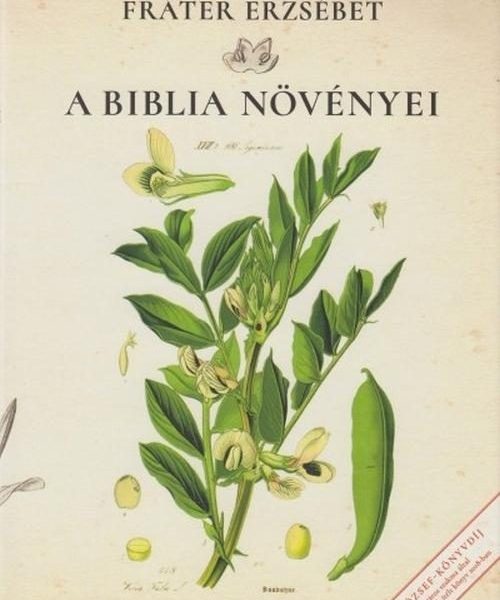 A BIBLIA NÖVÉNYEI