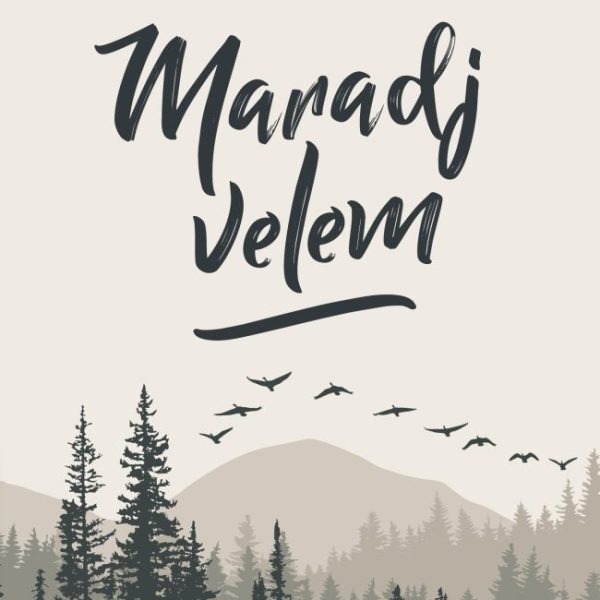 MARADJ VELEM - ISKOLÁK VERSENYE  2. KÖTET