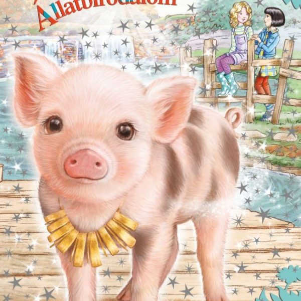 VARÁZSLATOS ÁLLATBIRODALOM 19. - MAZSI, A MERÉSZ