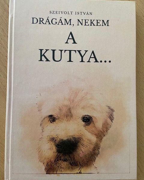 DRÁGÁM, NEKEM A KUTYA...