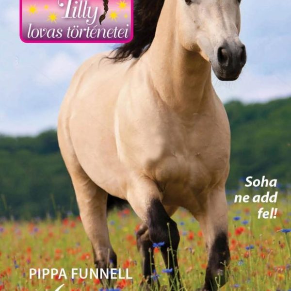 TILLY LOVAS TÖRTÉNETEI 15. - ROZSDÁS - SOHA NE ADD FEL!
