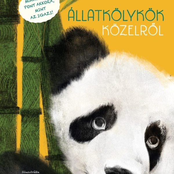 ÁLLATKÖLYKÖK KÖZELRŐL