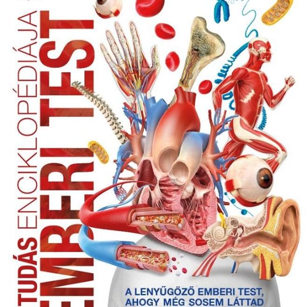 A TUDÁS ENCIKLOPÉDIÁJA - EMBERI TEST