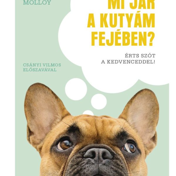 MI JÁR A KUTYÁM FEJÉBEN? - ÉRTS SZÓT A KEDVENCEDDEL!
