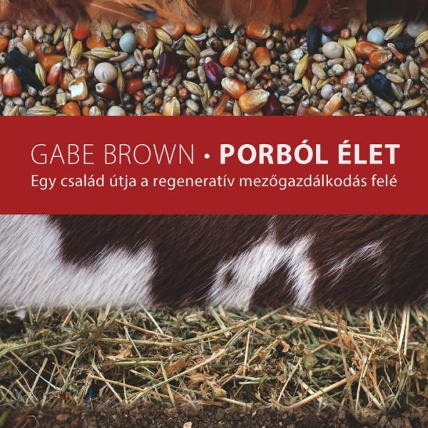 PORBÓL ÉLET