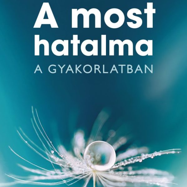 A MOST HATALMA - A GYAKORLATBAN (ÁTDOLGOZOTT, JAVÍTOTT KIADÁS)