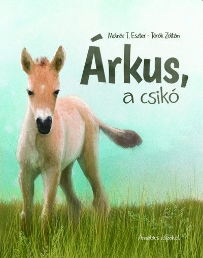 ÁRKUS, A CSIKÓ