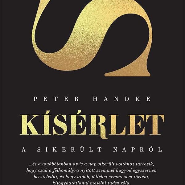 KÍSÉRLET A SIKERÜLT NAPRÓL - EGY TÉLI NAP ÁLMA