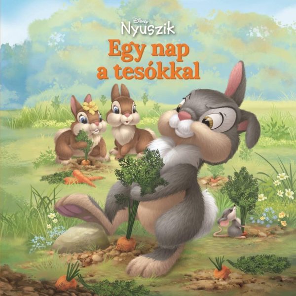 DISNEY NYUSZIK - EGY NAP A TESÓKKAL