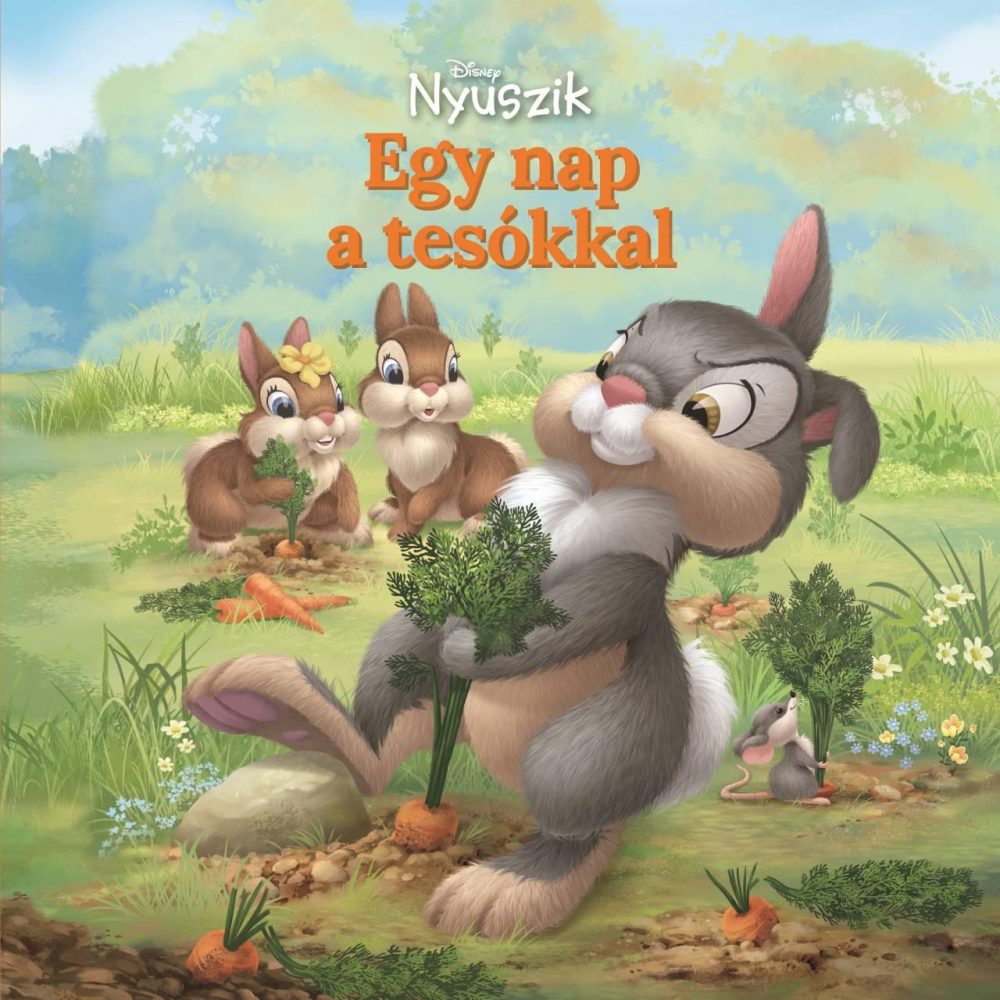 DISNEY NYUSZIK - EGY NAP A TESÓKKAL