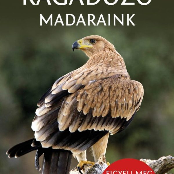 RAGADOZÓ MADARAINK - TERMÉSZETBARÁTOK ZSEBKÖNYVE