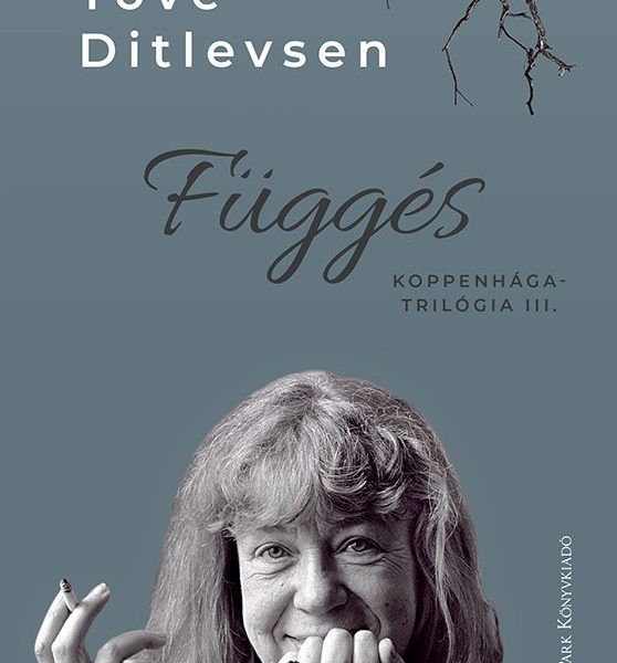 FÜGGÉS - KOPPENHÁGA-TRILÓGIA III.