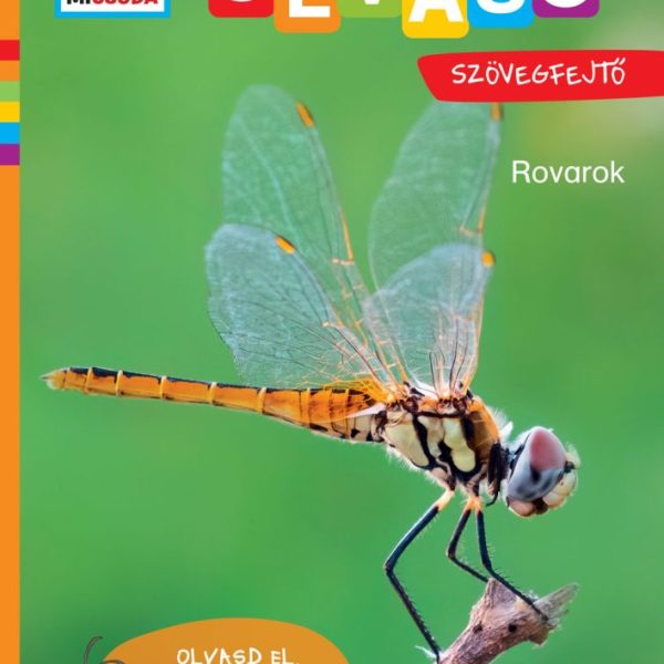 ROVAROK - MATRICÁS SZÖVEGFEJTŐ - MI MICSODA OLVASÓ