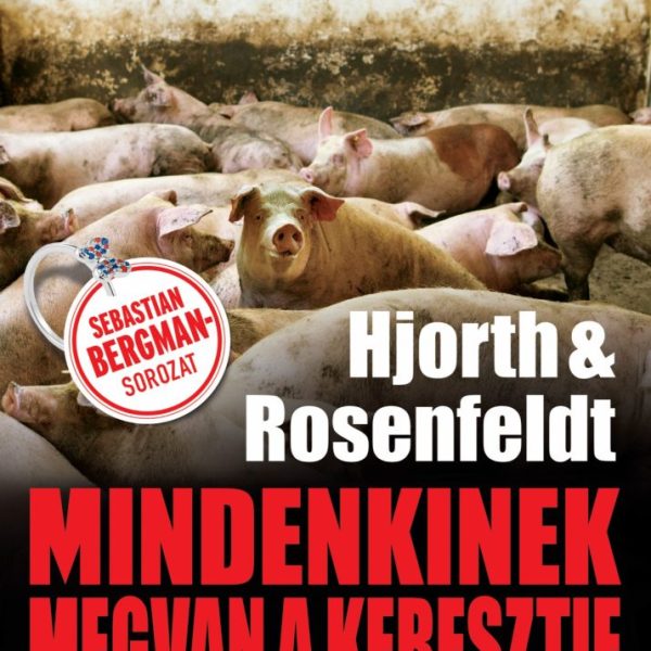 MINDENKINEK MEGVAN A KERESZTJE - SKANDINÁV KRIMIK